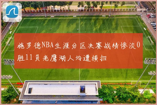 施罗德NBA生涯分区决赛战绩惨淡0胜11负老鹰湖人均遭横扫